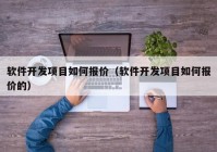 软件开发项目如何报价（软件开发项目如何报价的）