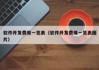 软件开发费用一览表（软件开发费用一览表图片）