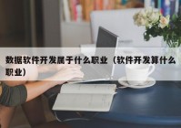 数据软件开发属于什么职业（软件开发算什么职业）