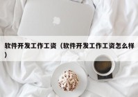 软件开发工作工资（软件开发工作工资怎么样）