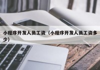 小程序开发人员工资（小程序开发人员工资多少）