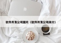 软件开发公司图片（软件开发公司简介）