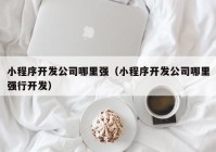 小程序开发公司哪里强（小程序开发公司哪里强行开发）