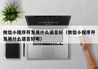 微信小程序开发用什么语言好（微信小程序开发用什么语言好呢）