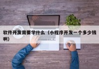 软件开发需要学什么（小程序开发一个多少钱啊）