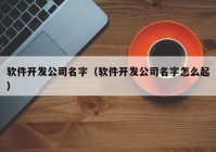 软件开发公司名字（软件开发公司名字怎么起）