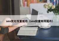 seo优化权重提升（seo权重如何提升）