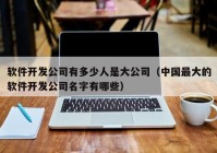 软件开发公司有多少人是大公司（中国最大的软件开发公司名字有哪些）