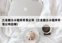 三足鼎立小程序开发公司（三足鼎立小程序开发公司在哪）